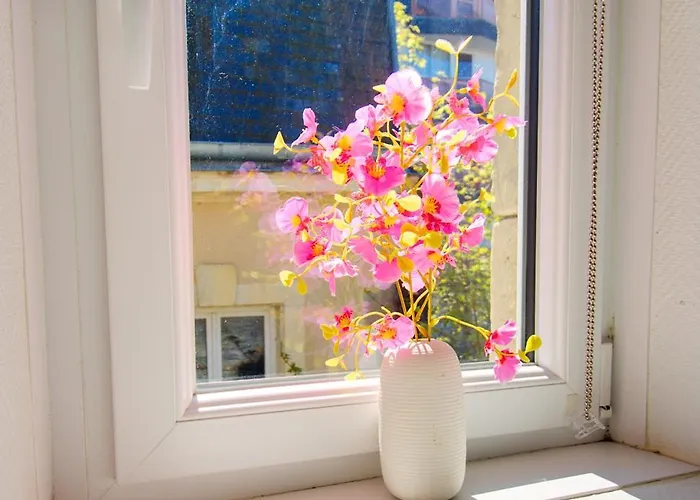 Petit Duplex Lumineux, Hyper Centre A 2 Pas Du Port, Intendance Luxury Host