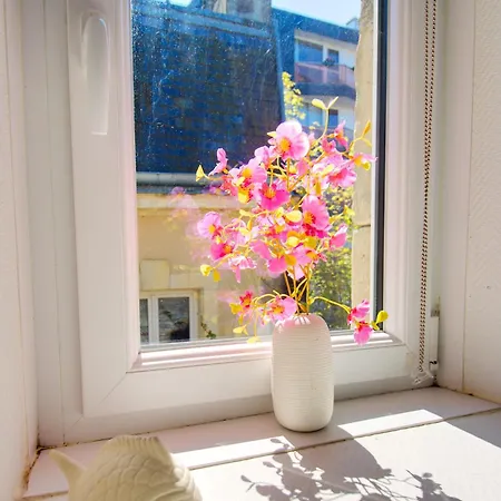 Petit Duplex Lumineux, Hyper Centre A 2 Pas Du Port, Intendance Luxury Host